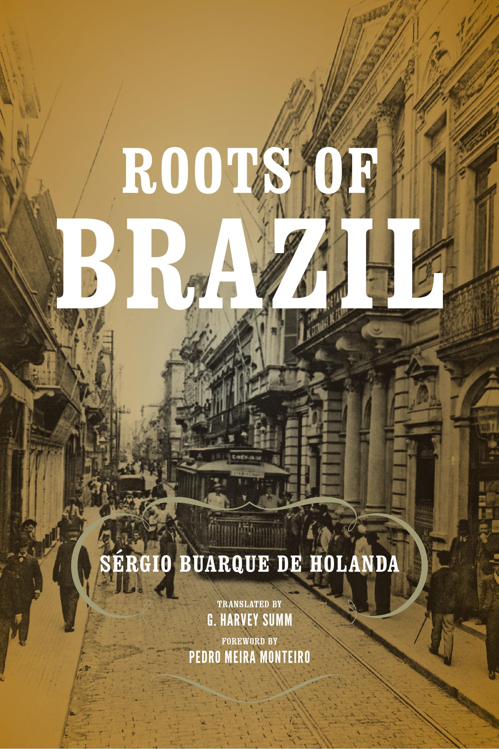 Roots of Brazil (ND Kellogg Inst Int'l Studies) (Kellogg Institute Series on Democracy and Development)