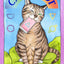 Cat Tarot: 78 Cards & Guidebook