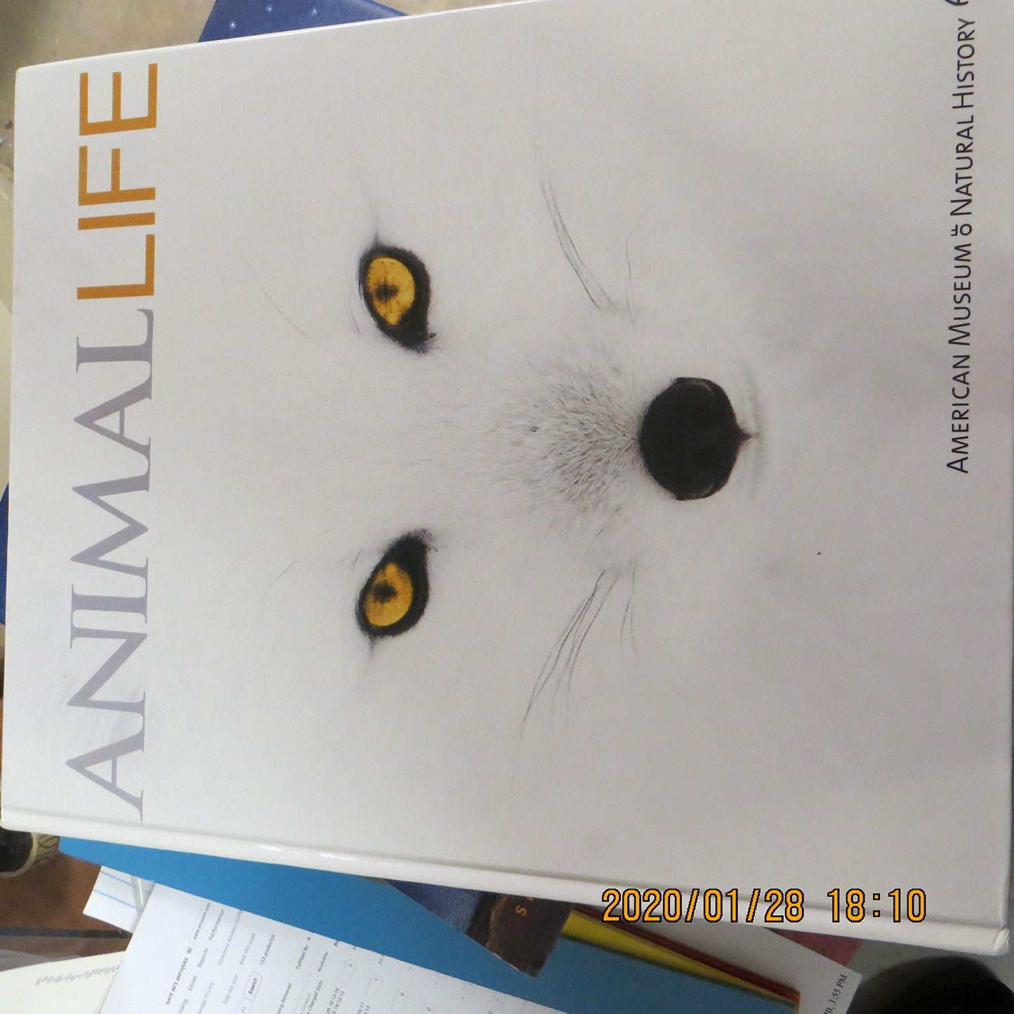 Animal Life: Secrets of the Animal World Revealed