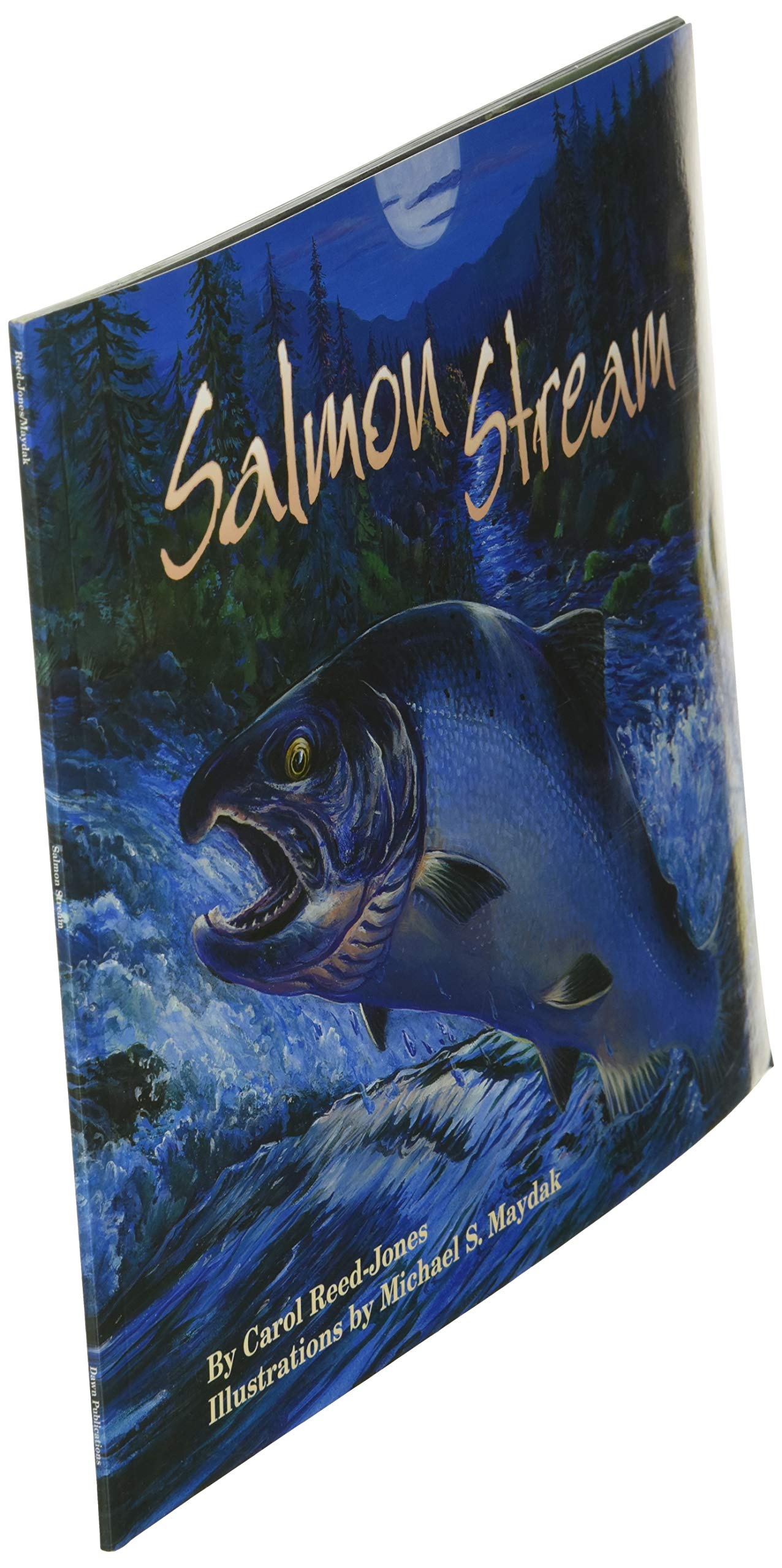 Salmon Stream