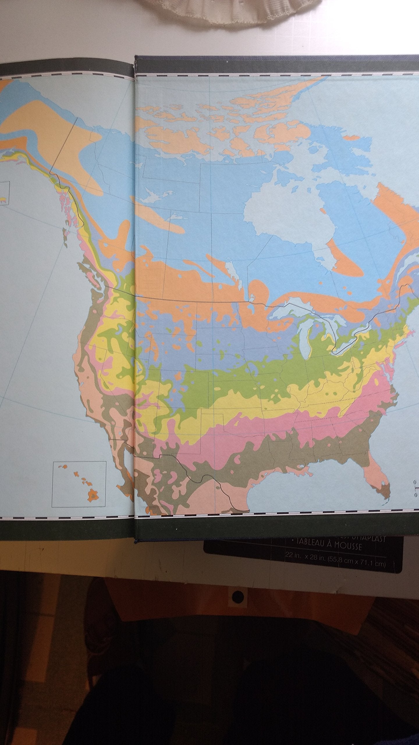 The American Horticultural Society A-Z Encyclopedia of Garden Plants