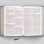 ESV Large Print Compact Bible, Red Letter (TruTone, Stone, Branch Design): Holy Bible, English Standard Version
