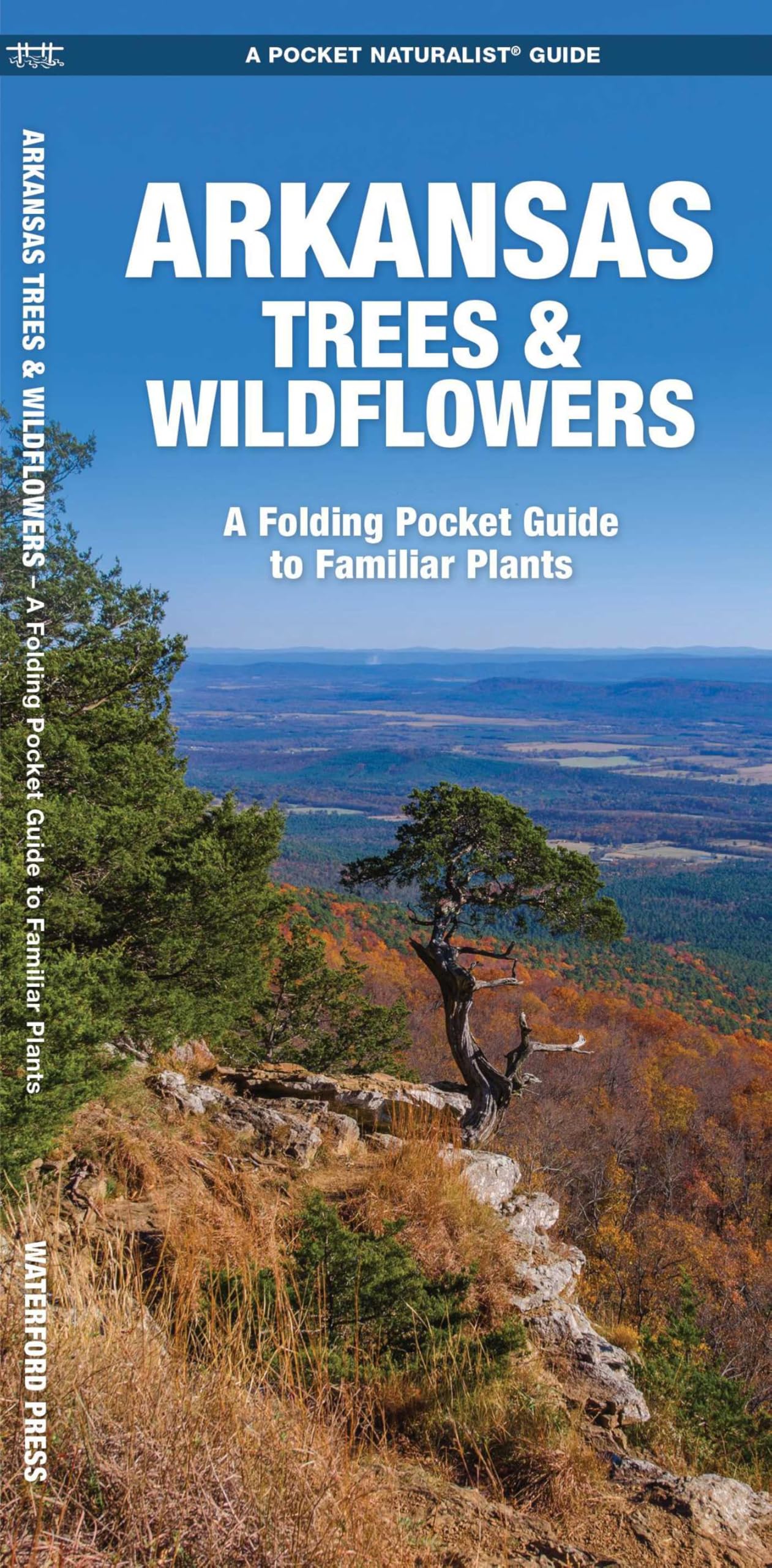 Arkansas Trees & Wildflowers: A Folding Pocket Guide to Familiar Plants (Nature Observation North America)