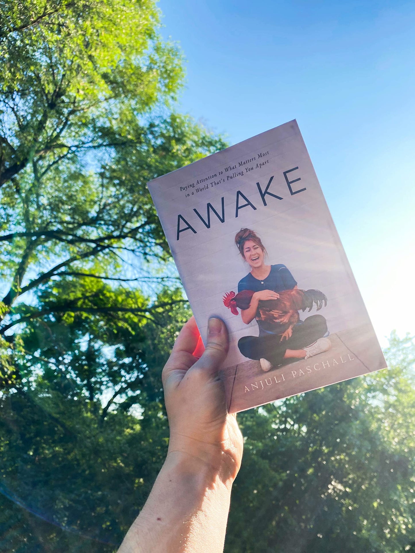 Awake: Paying Attention to What Matters Most in a World That's Pulling You Apart