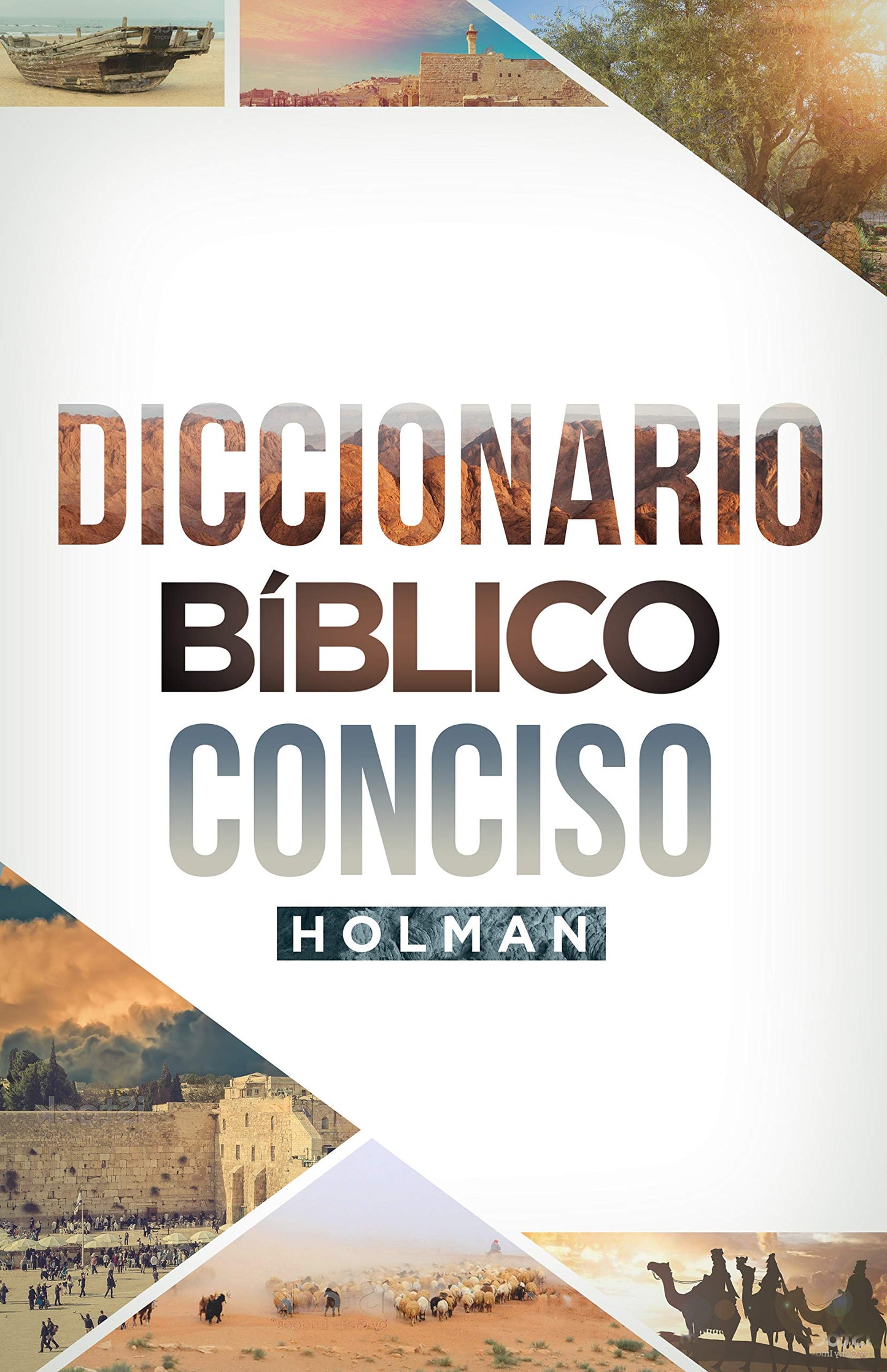 Diccionario Bíblico Conciso Holman  Holman Concise Bible Dictionary (Spanish Edition)