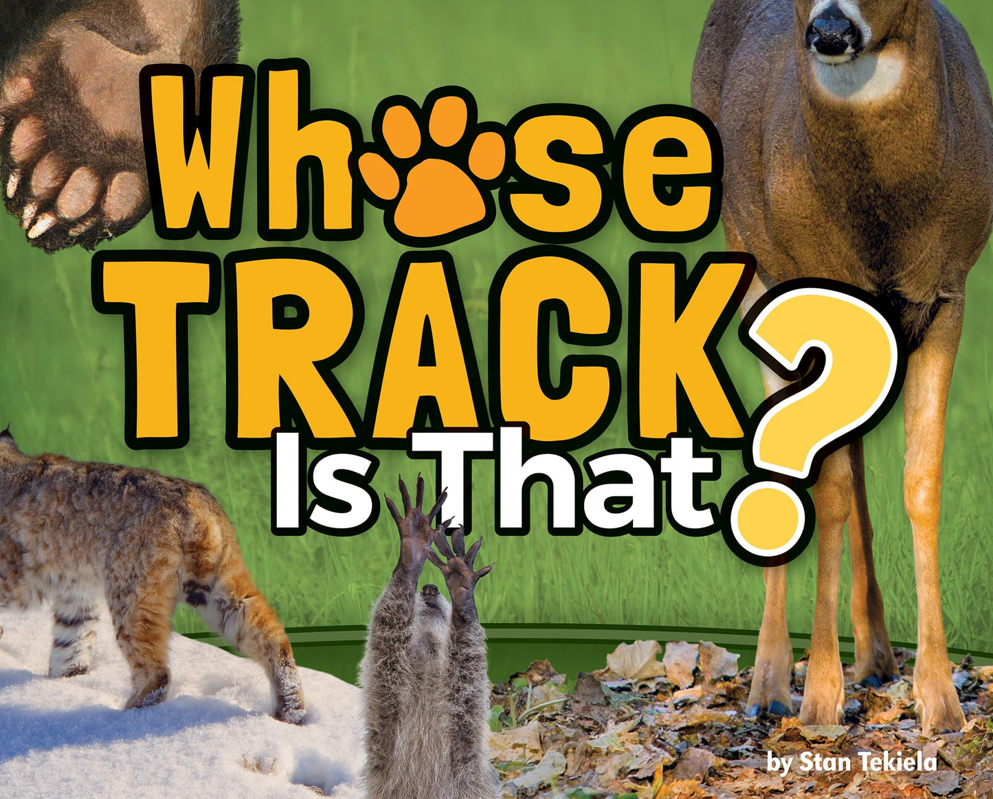 Whose Track Is That? (Wildlife Picture Books)