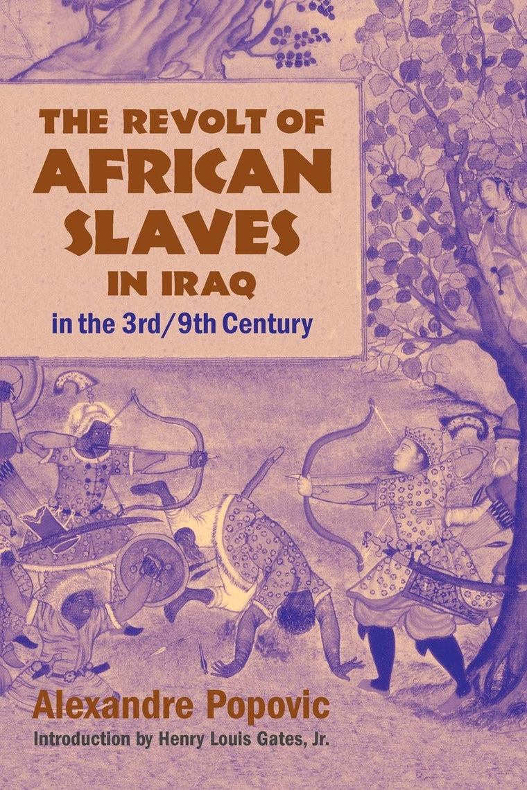 The Revolt of African Slaves in Iraq in the 3rd / 9th Century (Princeton Series on the Middle East)