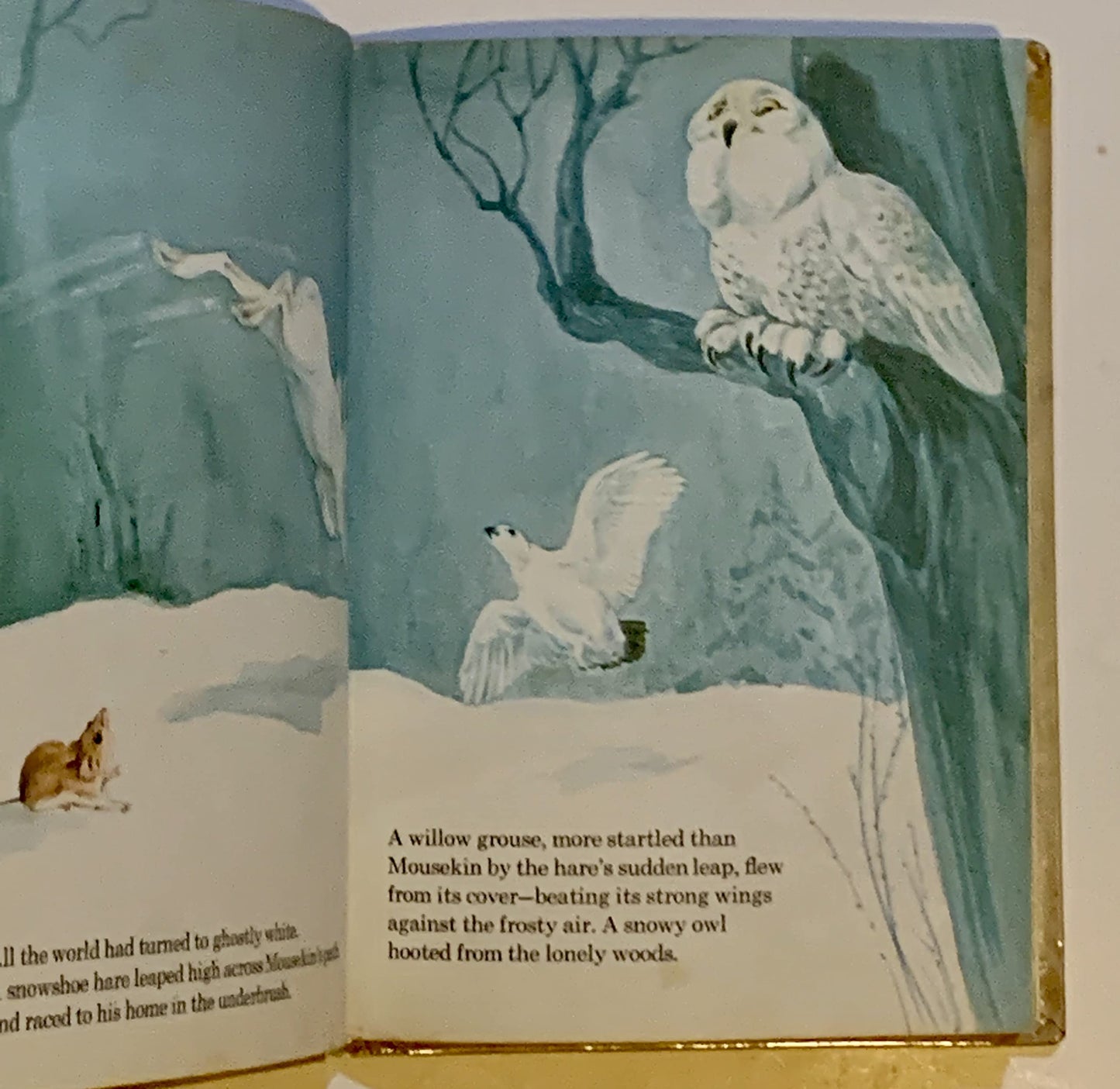 Mousekin's Christmas Eve by Miller, Edna