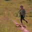 Fly Away Home: The Inspiring True Story of a Girl Who Became Mother to Orphaned Geese for Kids