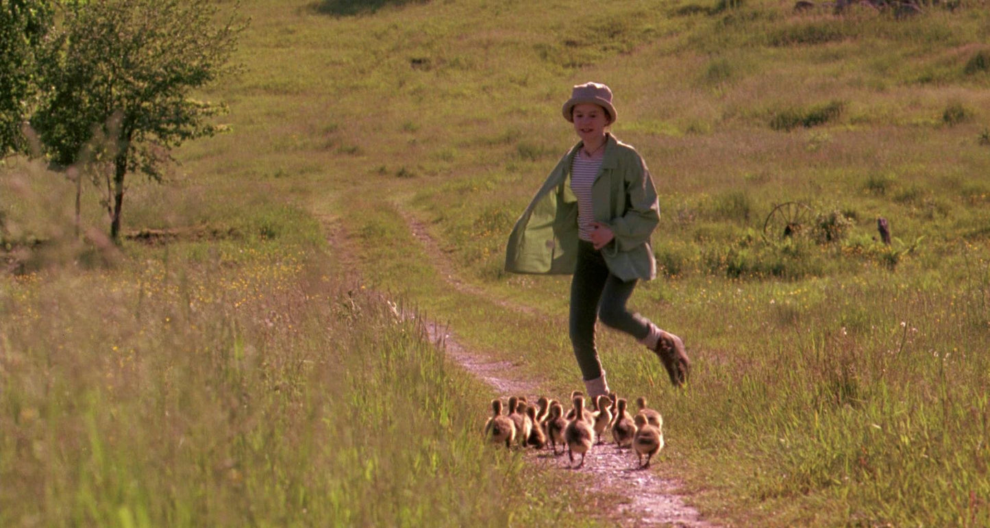 Fly Away Home: The Inspiring True Story of a Girl Who Became Mother to Orphaned Geese for Kids