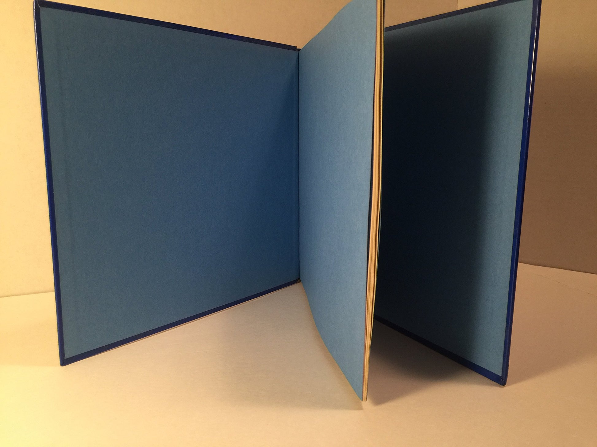 A Wish for Wings That Work: An Opus Christmas Story