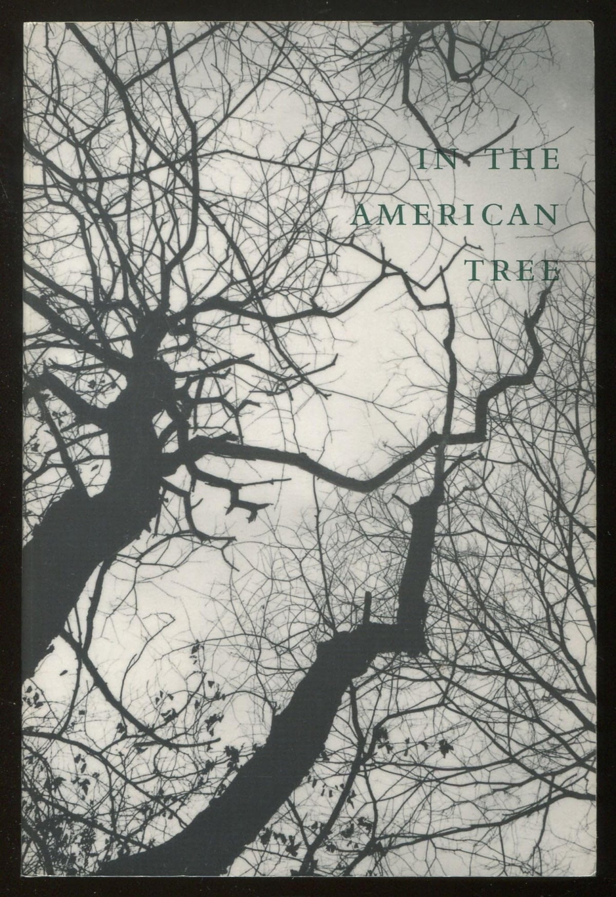 IN THE AMERICAN TREE