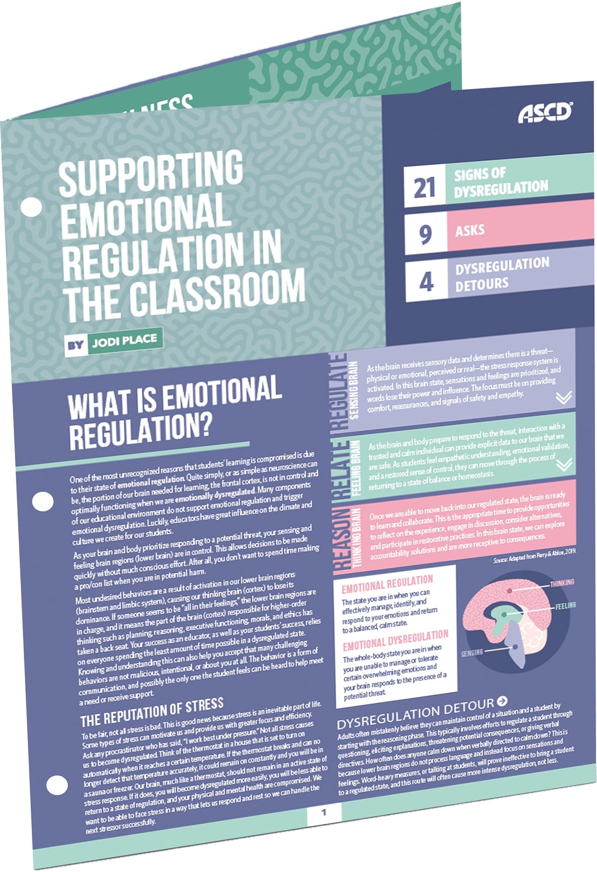 Supporting Emotional Regulation in the Classroom (Quick Reference Guide)