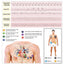 12 Lead EKG Pocket Card