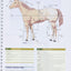 Laboratory Manual for Clinical Anatomy and Physiology for Veterinary Technicians