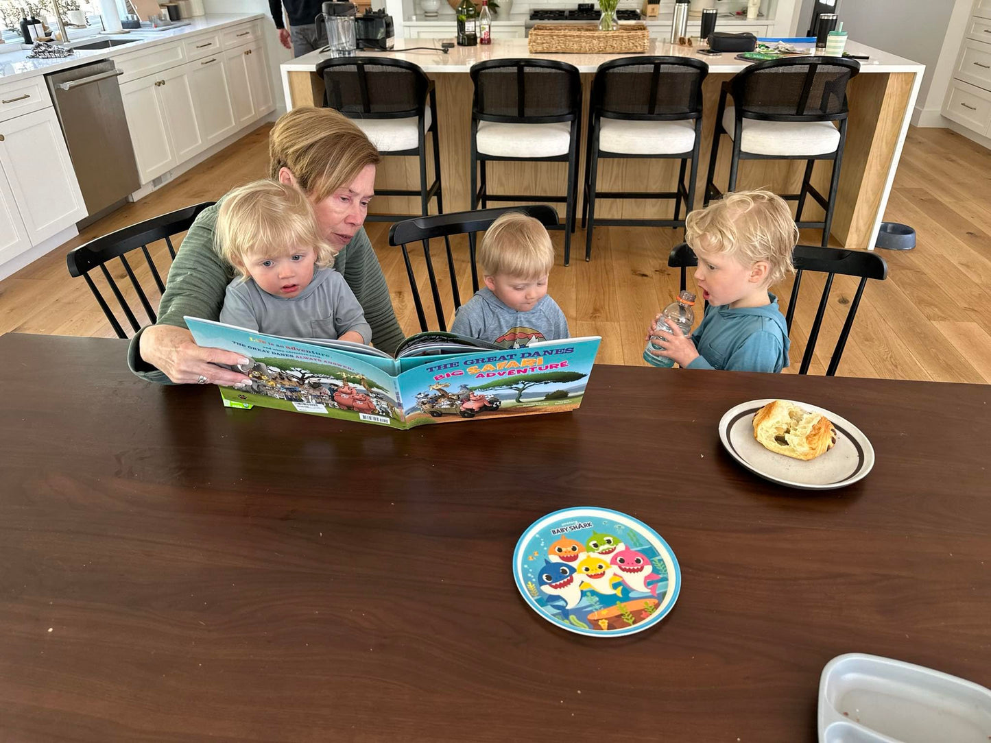 THE GREAT DANES Big Safari Adventure?Children's Animal Book?Humorous Family Children's Book About Adventure & Travel?Celebration of Life & Friendship?Ideal for Babies, Toddlers, and Children up to Age 8