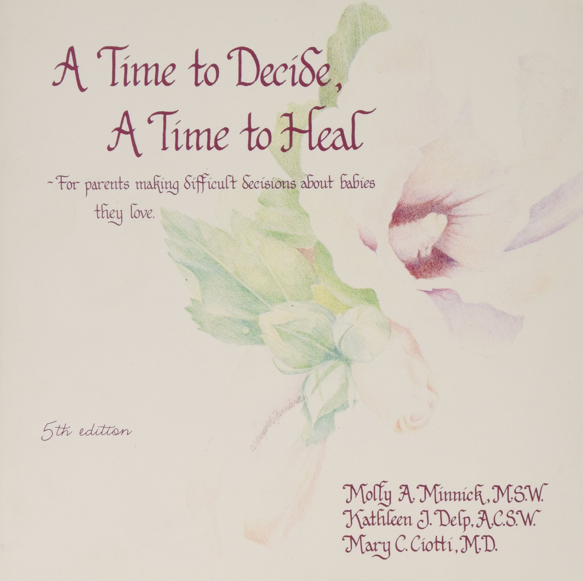 A Time to Decide a Time to Heal: For Parents Making Difficult Decisions About Babies They Love