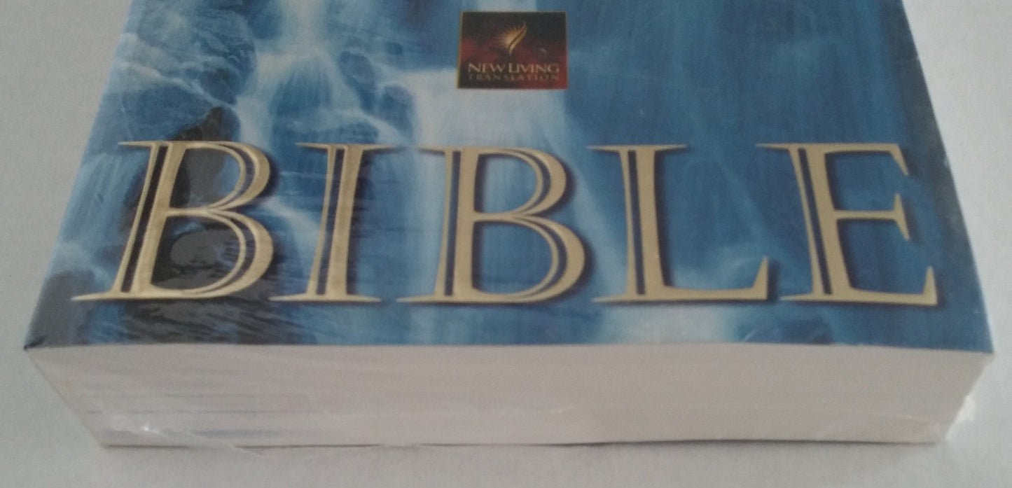 Holy Spirit Encounter Bible: Experience the Spirit's Presenc