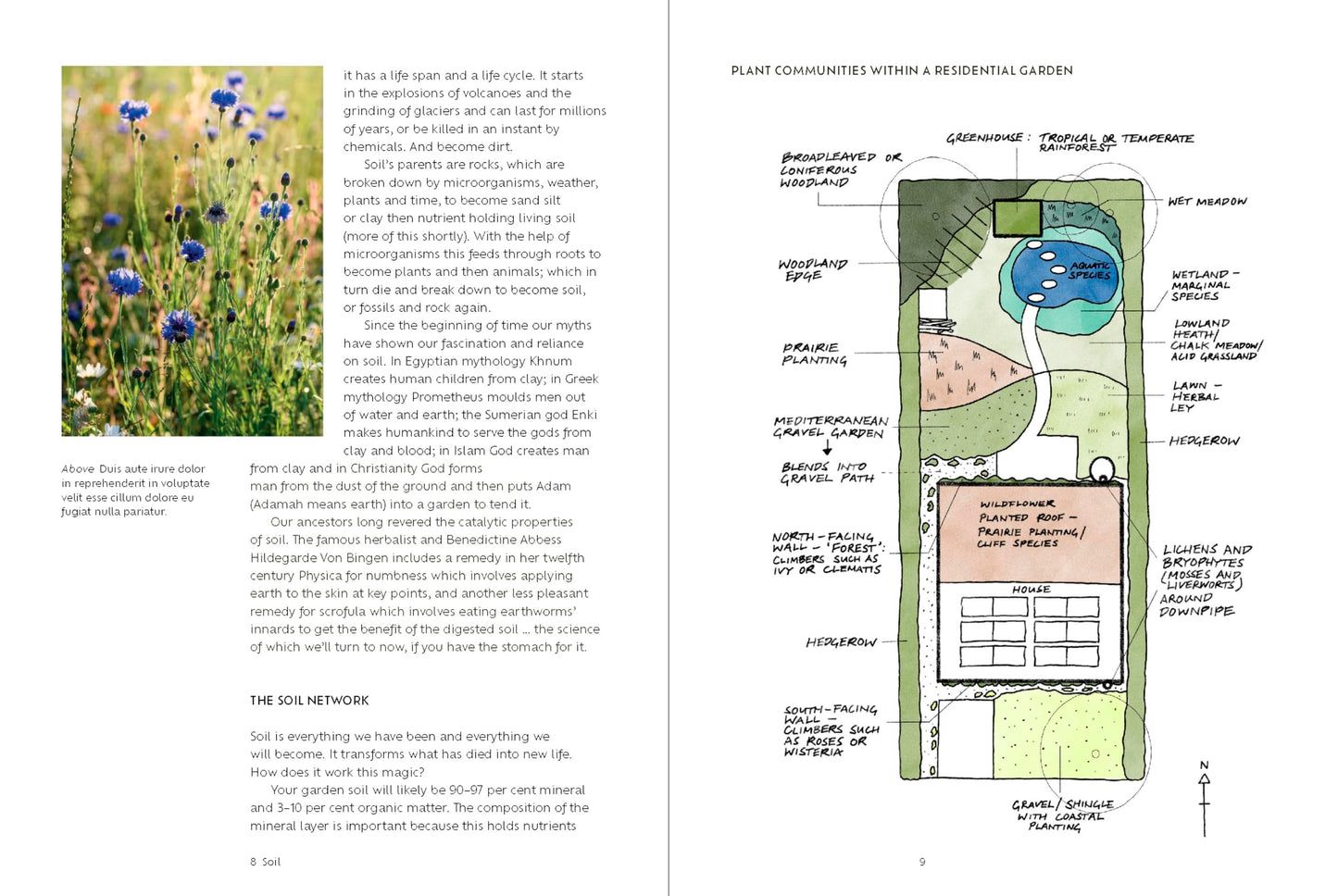 The Kindest Garden: A Practical Guide to Regenerative Gardening