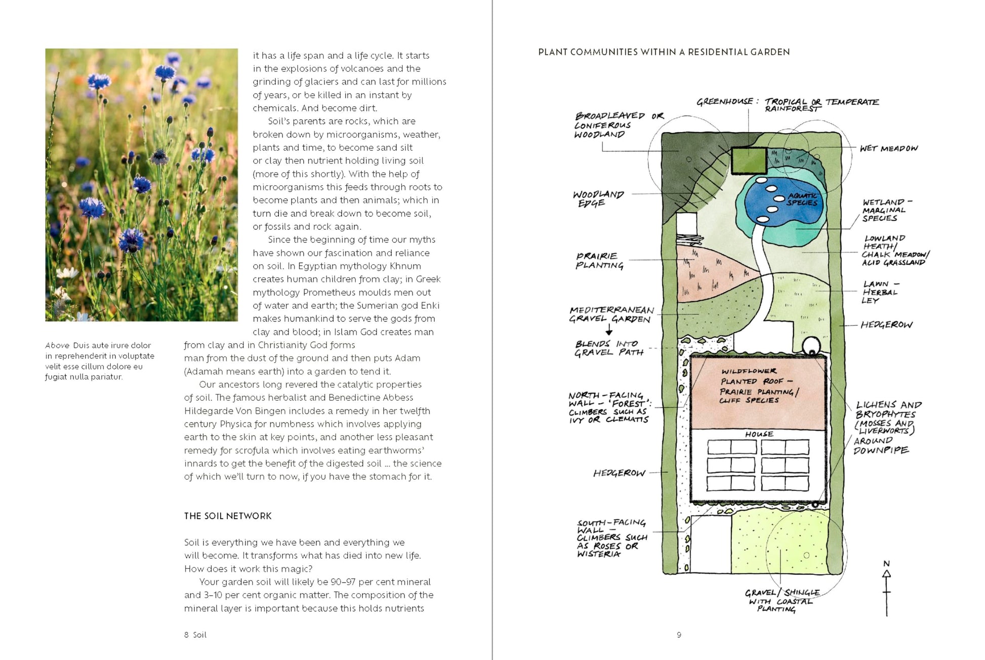 The Kindest Garden: A Practical Guide to Regenerative Gardening