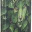 Faeries of the Faultlines: Expanded, Edited Edition