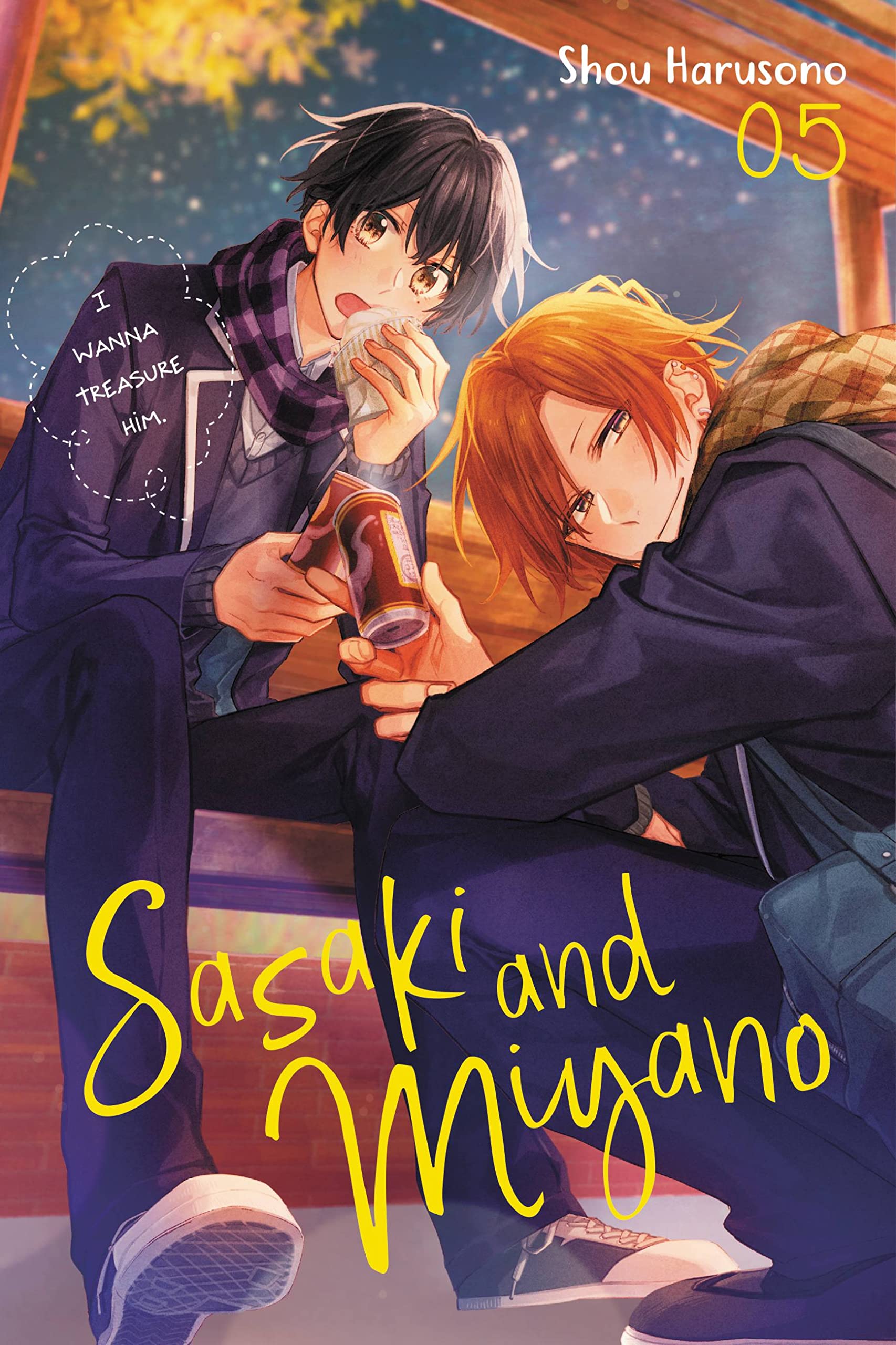 Sasaki and Miyano, Vol. 5 (Volume 5)