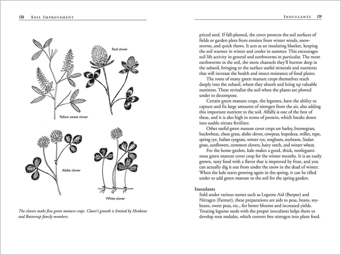 Carrots Love Tomatoes: Secrets of Companion Planting for Successful Gardening
