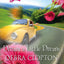 Dream a Little Dream (Mule Hollow Matchmakers, Book 4)