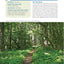 Hiking the Pacific Crest Trail: Washington: Section Hiking from the Columbia River to Manning Park