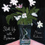 Still Life with Remorse