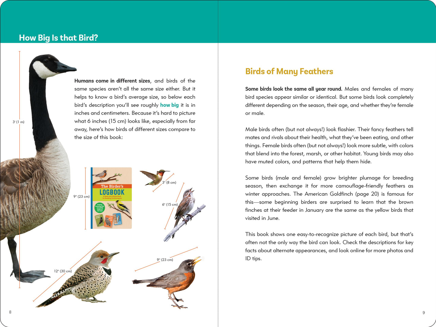 Birder's Logbook: A Seek-and-Sticker Book for Budding Ornithologists (comes with 100 full-color stickers of birds!)