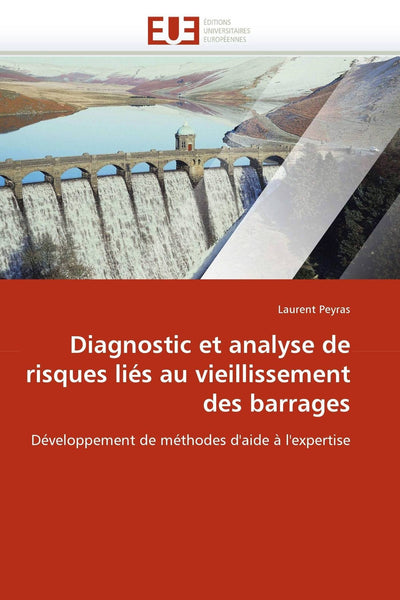 Diagnostic et analyse de risques liés au vieillissement des barrages: Développement de méthodes d'aide  l'expertise (Omn.Univ.Europ.) (French Edition)