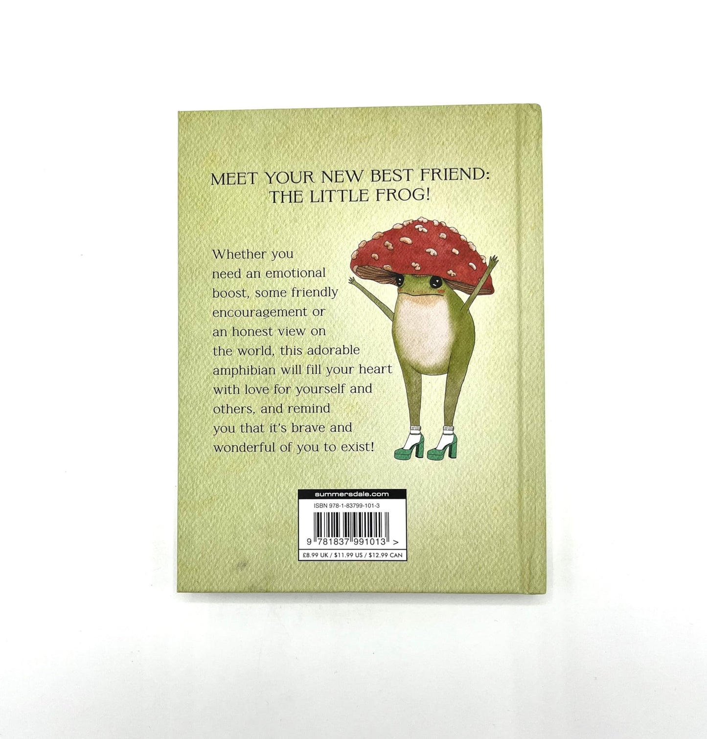 The Little Frog's Guide to Self-Care: Affirmations, Self-Love and Life Lessons According to the Internet's Beloved Mushroom Frog