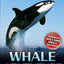 Hal & Roger Hunt Adventures Book Series Books 1 - 7 Collection Set by Willard Price (Amazon Adventure, South Sea, Underwater, Volcano, Whale, African & Elephant)
