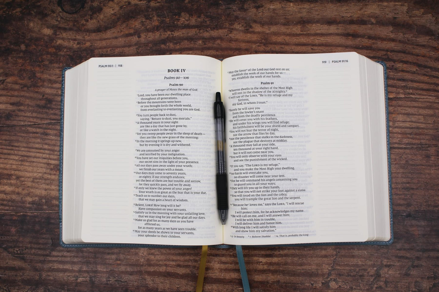 NIV, Journal the Word Bible (Perfect for Note-Taking), Large