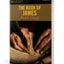 The Book of James Bible Study (Rose Visual Bible Studies)