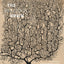 The Beautiful Brain: The Drawings of Santiago Ramon y Cajal