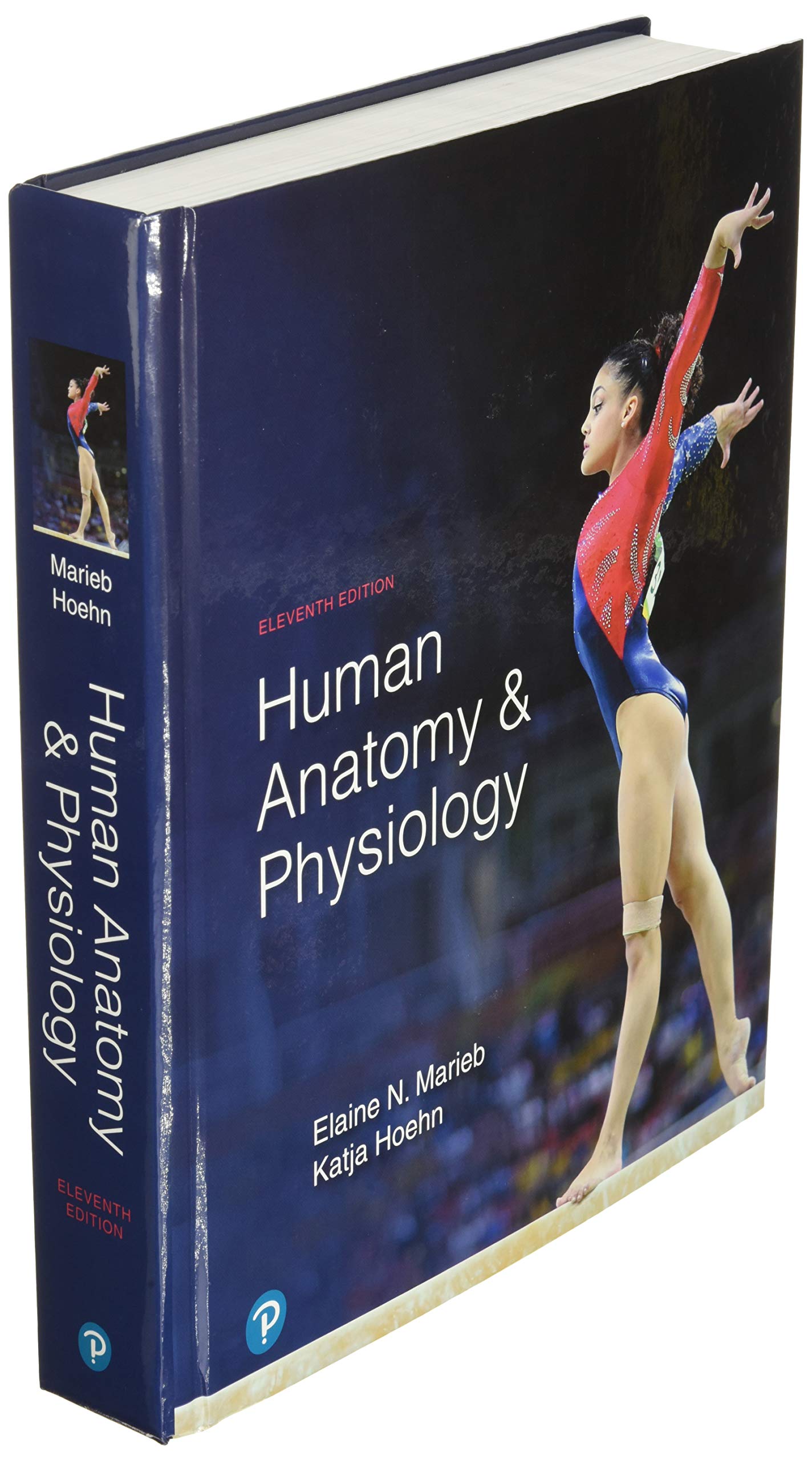 Human Anatomy & Physiology