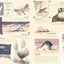 National Parks of the USA (Americana)