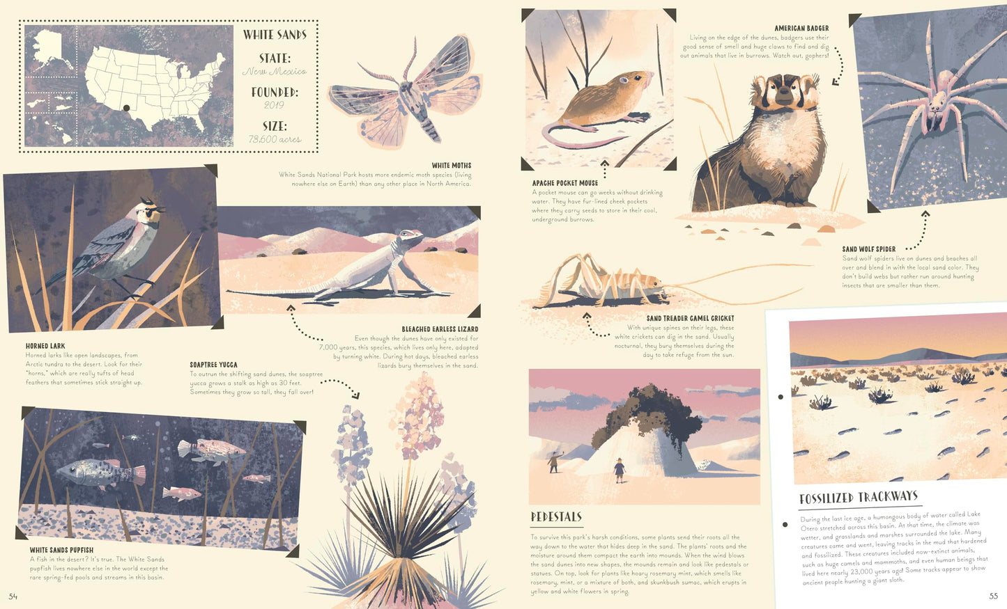 National Parks of the USA (Americana)