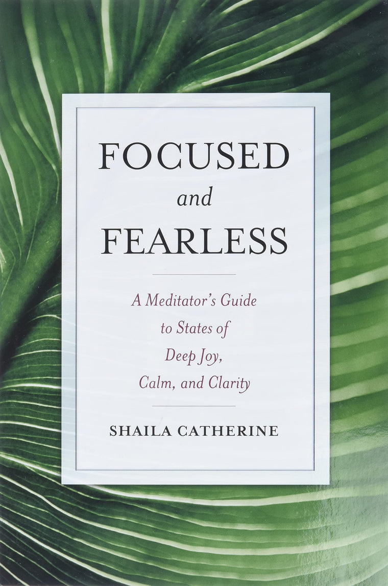 Focused and Fearless: A Meditator's Guide to States of Deep Joy, Calm, and Clarity