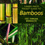 Timber Press Pocket Guide to Bamboos
