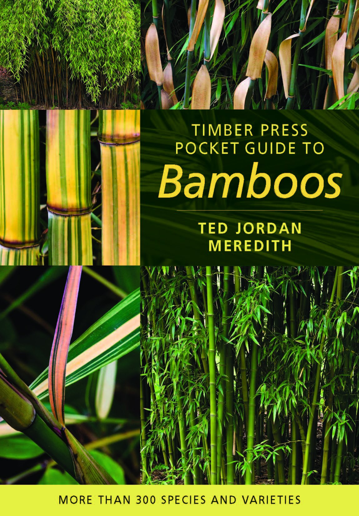 Timber Press Pocket Guide to Bamboos