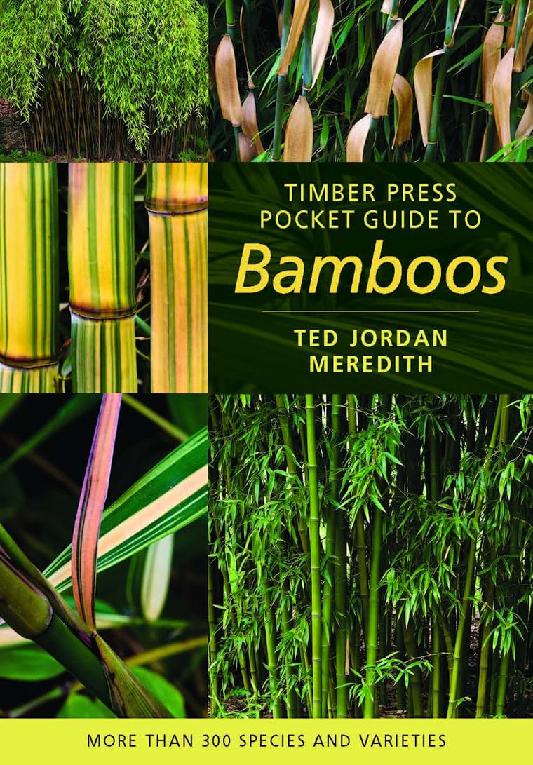 Timber Press Pocket Guide to Bamboos