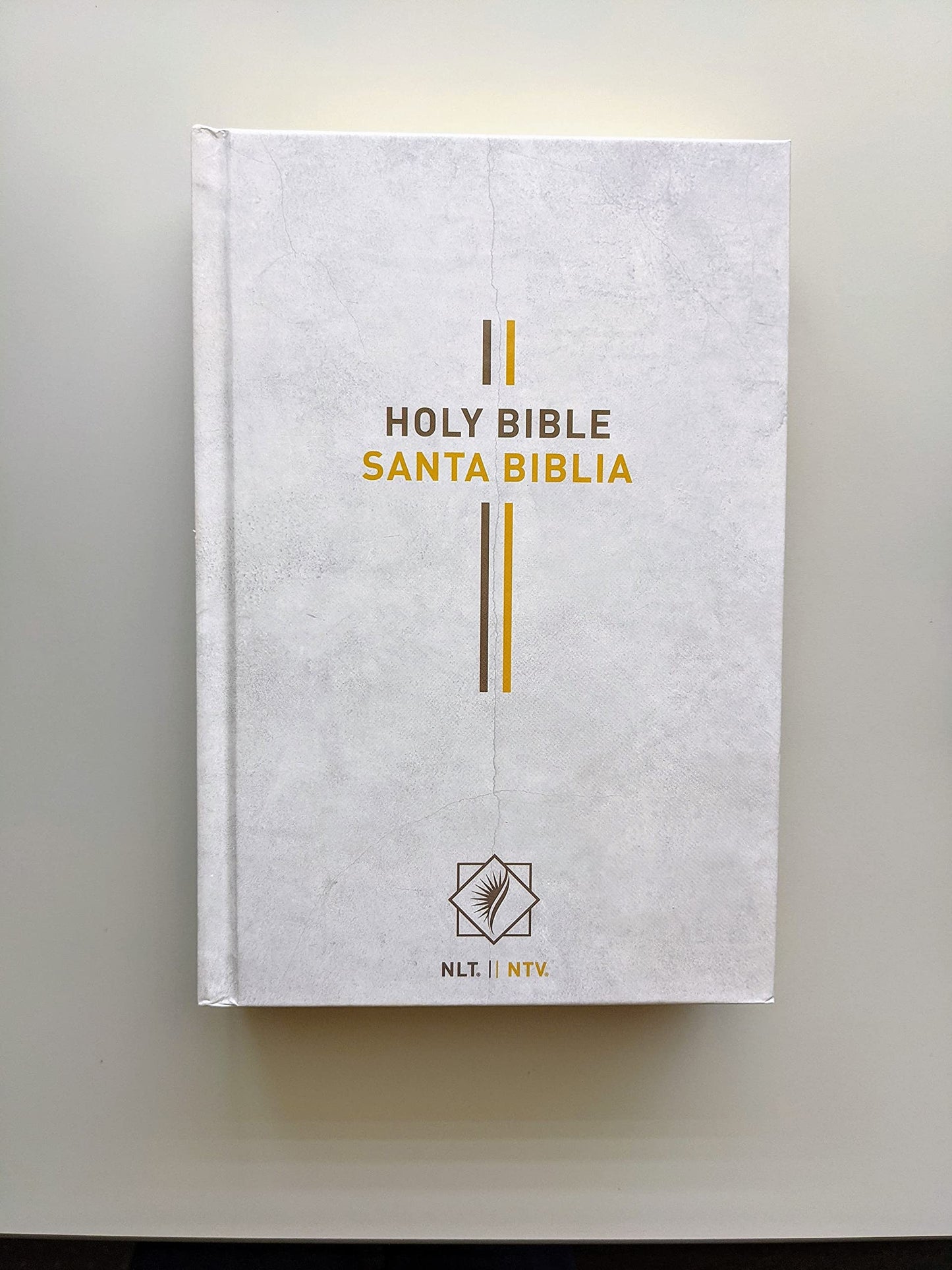Bilingual Bible / Biblia biling?e NLT/NTV (Hardcover, Gray)