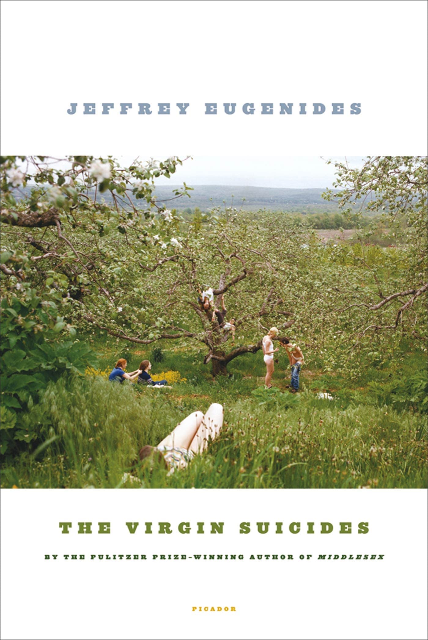 The Virgin Suicides: A Novel (Picador Modern Classics) by Eu