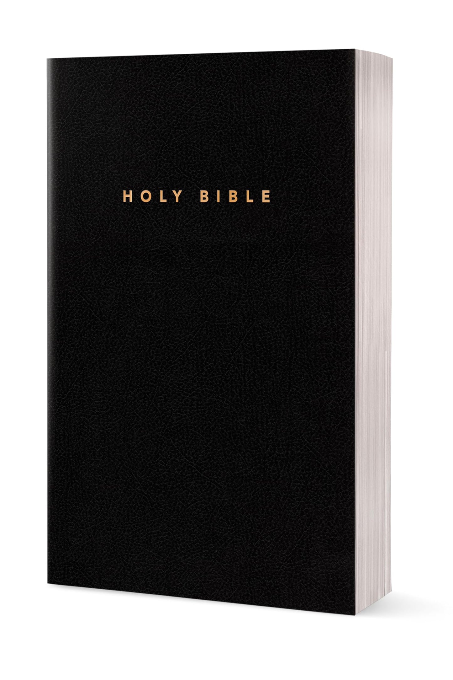 Gift and Award Bible NLT (Imitation Leather, Black, Red Letter) (Gift and Award Bible: New Living Translation-2)