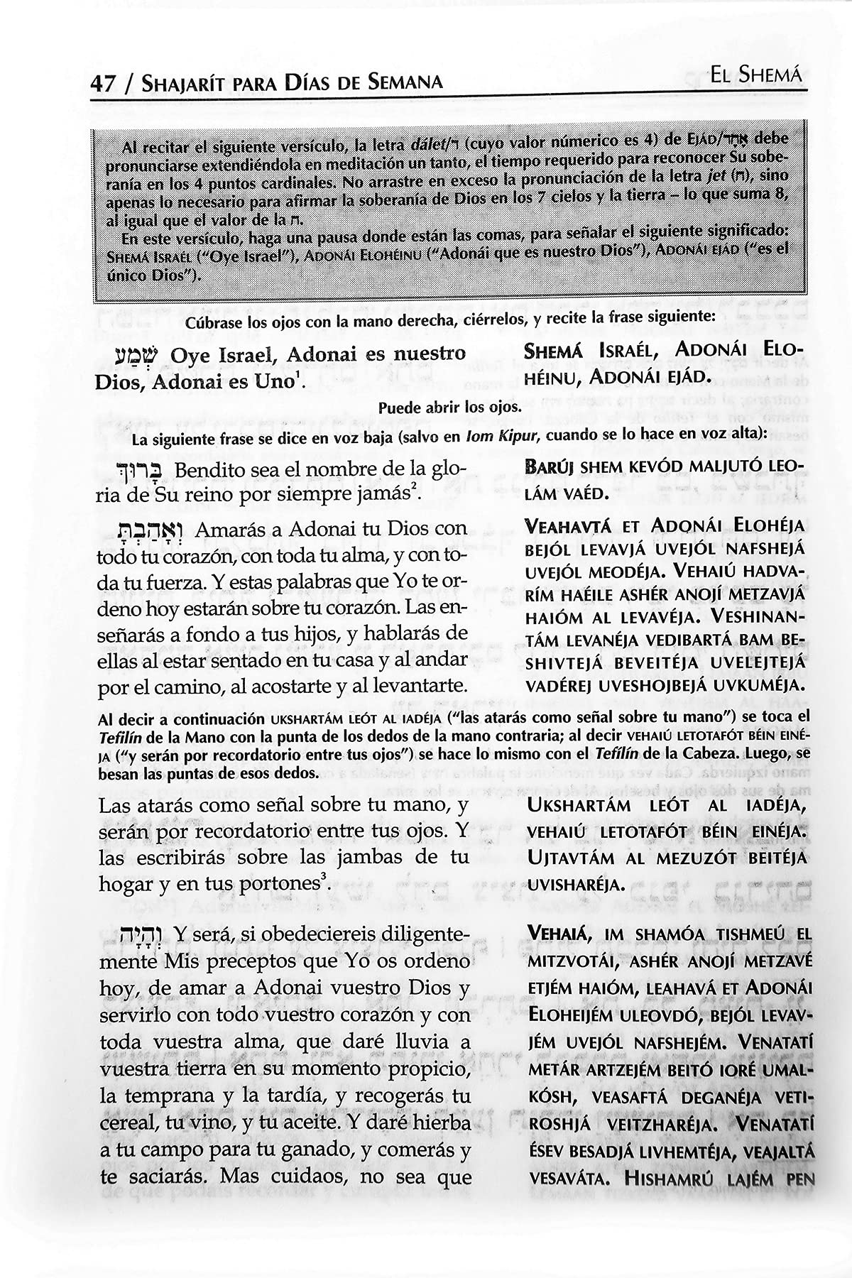 Sidur Tehilat Hashem Hebreo/espanol/fonetica