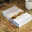 The NRSV Daily Bible: Read, Meditate, and Pray Through the E