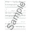 Acoustic Guitar Bible: Guitar Recorded Versions by Various